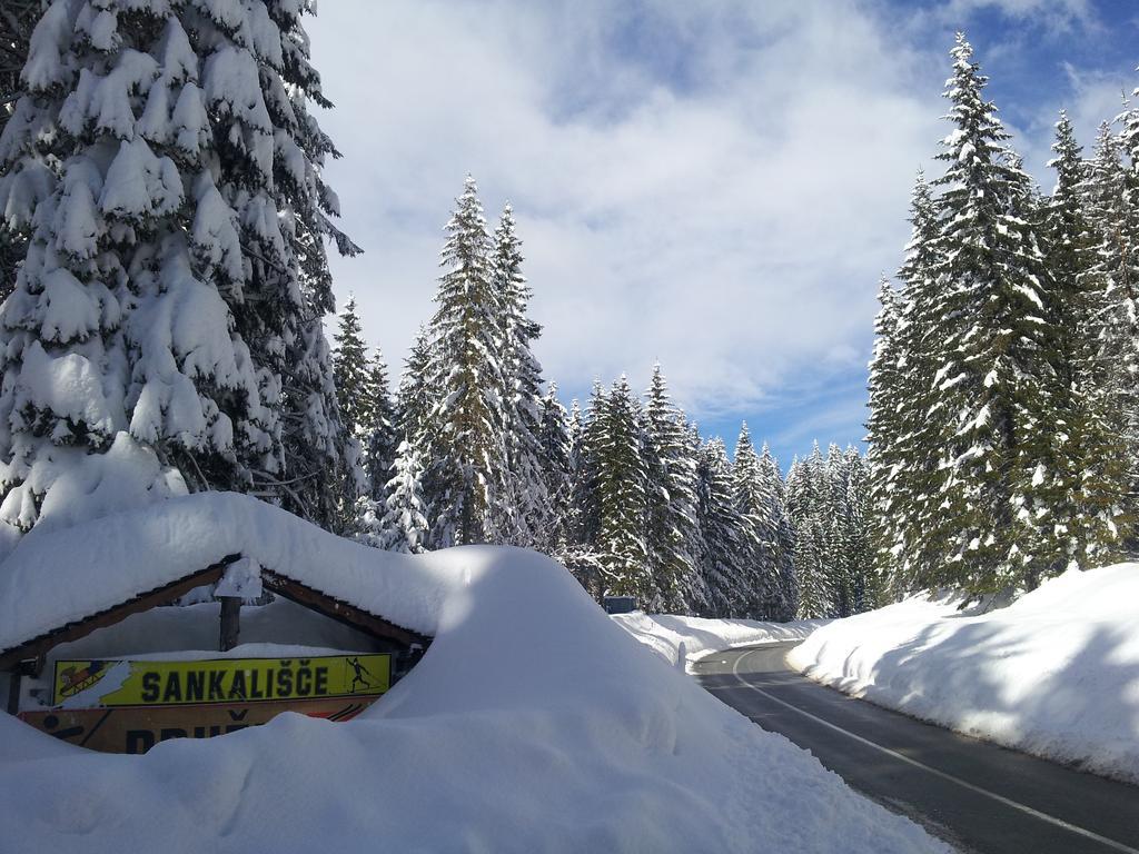 Jelka Pokljuka Goreljek