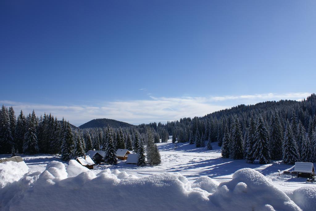 Jelka Pokljuka 3* Goreljek
